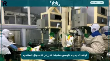 توقعات جديدة لتوسع صادرات الأرز في الأسواق العالمية